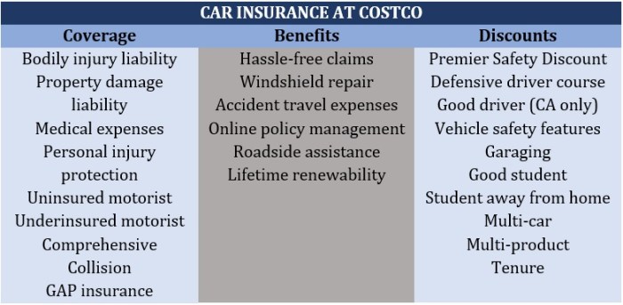 Should You Get Auto Insurance Through Costco? - YouTube