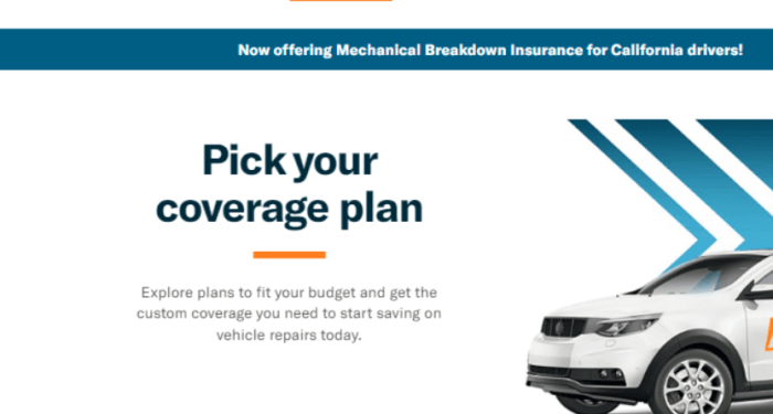 Endurance Warranty Reviews: Are They Worth the Investment?